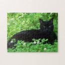 Suche nach kleeblatt puzzle Natur