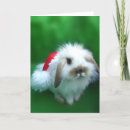 Suche nach ostern witze karten Weihnachten