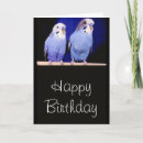 Suche nach parakeet karten Vögel