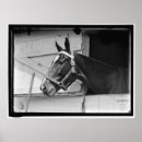 Suche nach 1913 poster Fotografie