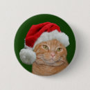 Suche nach tatze buttons Katze
