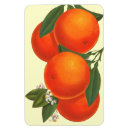 Suche nach orange retro magnete Vintag