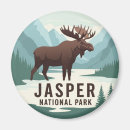 Suche nach jasper magnete Reise