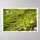 Suche nach teeliebhaber poster Teegeschenke
