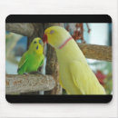 Suche nach parakeet mousepads Maus