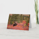 Suche nach moose karten Gegner