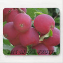 Suche nach frucht mousepads Baum