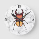 Suche nach entomologie wanduhren Käfer