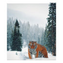Suche nach tiger foto poster Schnee