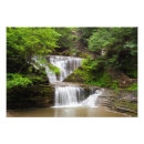 Suche nach feucht poster Grün