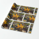 Suche nach sonne geschenkpapier Gelb