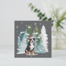 Suche nach berner sennenhund karten Winter