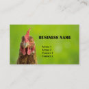 Suche nach huhn visitenkarten Bauernhof