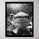 Suche nach tiere poster Zitate