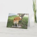 Suche nach lustige corgi karten Korgi