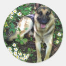 Suche nach deutscher schäferhund aufkleber Tiere