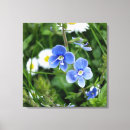 Suche nach kleiner leinwandbilder Blume