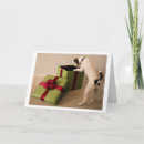 Suche nach jackrussell terrier karten Jrt