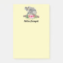 Suche nach koala post it Tierwelt