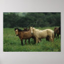 Suche nach mustang poster Foto