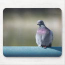 Suche nach taube mousepads Vogel