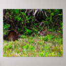 Suche nach niedliches kaninchen poster Braun