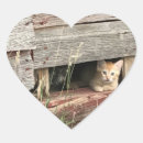 Suche nach rote katze aufkleber Herz