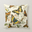 Suche nach raupe kissen Natur