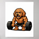 Suche nach fit poster Gewichtheben
