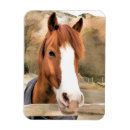 Suche nach horse magnete Nutztier