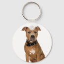 Suche nach stiere schlüsselanhänger Haustier