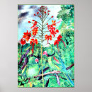 Suche nach parakeet poster Vogel
