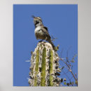 Suche nach zaunkönig poster Natur