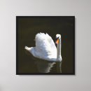 Suche nach vögel leinwandbilder Vogel