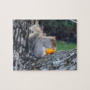 Suche nach eichhörnchen puzzle Natur