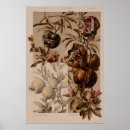 Suche nach vintage botanische studie poster Obst