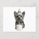 Suche nach hundekarten postkarten Geburtstag