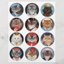 Suche nach vintage katzenkunst Kätzchen