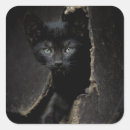 Suche nach hauskatze aufkleber Schwarz