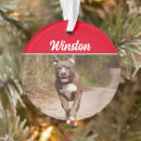 Suche nach buller ornamente Dogs