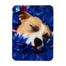 Suche nach dogs magnete Welpe