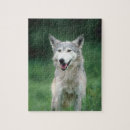 Suche nach wolf puzzle Natur