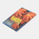 Suche nach cephalopod poster Meereslebewesen