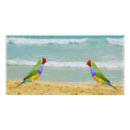Suche nach surfer poster Surfen