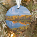 Suche nach wasser ornamente Landschaft