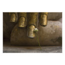 Suche nach thai buddha poster Religiös