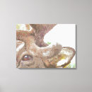 Suche nach reindeer poster Natur