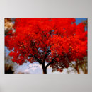 Suche nach liebe ist in der luft poster Natur