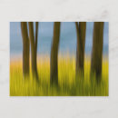 Suche nach unscharfe bewegung postkarten Baum