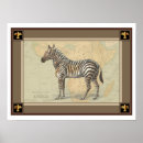 Suche nach zebra poster Africa